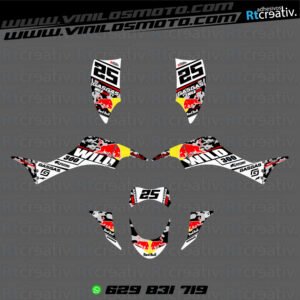 ADHESIVOS Y PEGATINAS DE VINILO PARA GAS GAS WILD Rt007-04