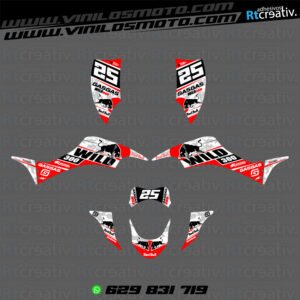 ADHESIVOS Y PEGATINAS DE VINILO PARA GAS GAS WILD Rt007-08