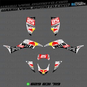 ADHESIVOS Y PEGATINAS DE VINILO PARA GAS GAS WILD Rt007-12