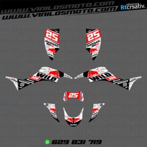 ADHESIVOS Y PEGATINAS DE VINILO PARA GAS GAS WILD Rt007-13