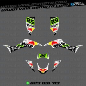 ADHESIVOS Y PEGATINAS DE VINILO PARA GAS GAS WILD Rt007-18