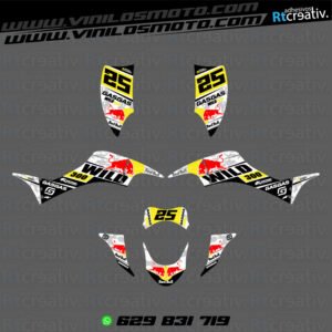 ADHESIVOS Y PEGATINAS DE VINILO PARA GAS GAS WILD Rt007-19
