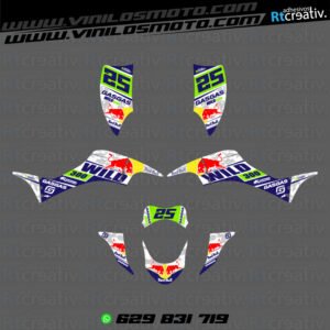 ADHESIVOS Y PEGATINAS DE VINILO PARA GAS GAS WILD Rt007-21