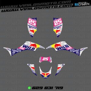 ADHESIVOS Y PEGATINAS DE VINILO PARA GAS GAS WILD Rt007-22