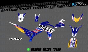 ADHESIVOS Y PEGATINAS DE VINILO VOGE 300 RALLY Rt009-01
