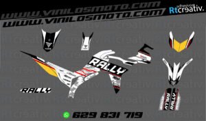 ADHESIVOS Y PEGATINAS DE VINILO VOGE 300 RALLY Rt009-04