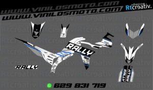 ADHESIVOS Y PEGATINAS DE VINILO VOGE 300 RALLY Rt009-06
