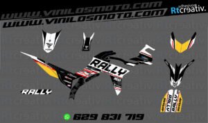 ADHESIVOS Y PEGATINAS DE VINILO VOGE 300 RALLY Rt009-07