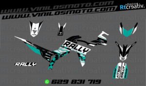 ADHESIVOS Y PEGATINAS DE VINILO VOGE 300 RALLY Rt009-08