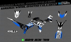ADHESIVOS Y PEGATINAS DE VINILO VOGE 300 RALLY Rt009-09