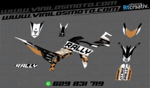 ADHESIVOS Y PEGATINAS DE VINILO VOGE 300 RALLY Rt009-10