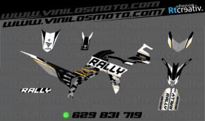 ADHESIVOS Y PEGATINAS DE VINILO VOGE 300 RALLY Rt009-11