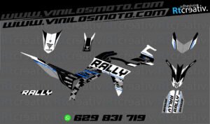 ADHESIVOS Y PEGATINAS DE VINILO VOGE 300 RALLY Rt009-12