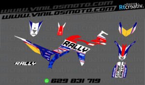 ADHESIVOS Y PEGATINAS DE VINILO VOGE 300 RALLY Rt009-13