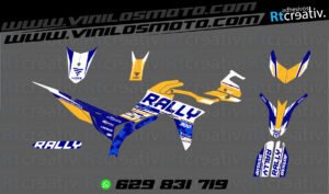 ADHESIVOS Y PEGATINAS DE VINILO VOGE 300 RALLY Rt009-14