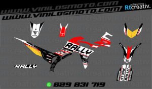 ADHESIVOS Y PEGATINAS DE VINILO VOGE 300 RALLY Rt009-15