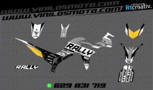 ADHESIVOS Y PEGATINAS DE VINILO VOGE 300 RALLY Rt009-16