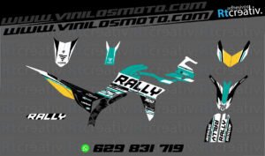 ADHESIVOS Y PEGATINAS DE VINILO VOGE 300 RALLY Rt009-17