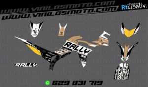 ADHESIVOS Y PEGATINAS DE VINILO VOGE 300 RALLY Rt009-18
