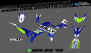 ADHESIVOS Y PEGATINAS DE VINILO VOGE 300 RALLY Rt009-02