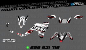 ADHESIVOS Y PEGATINAS DE VINILO APRILIA TUAREG 660 Rt007-06