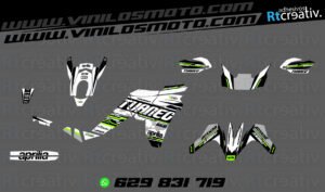 ADHESIVOS Y PEGATINAS DE VINILO APRILIA TUAREG 660 Rt007-08