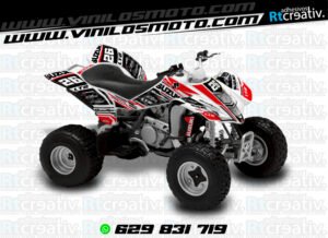 ADHESIVOS Y PEGATINAS DE VINILO PARA SUZUKI LTZ 400 Rt017-19