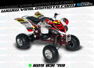 ADHESIVOS Y PEGATINAS DE VINILO PARA YAMAHA RAPTOR 660 Rt007-07