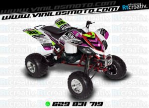 ADHESIVOS Y PEGATINAS DE VINILO PARA YAMAHA RAPTOR 660 Rt007-10