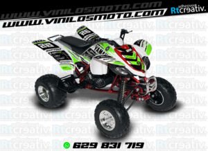 ADHESIVOS Y PEGATINAS DE VINILO PARA YAMAHA RAPTOR 660 Rt007-20
