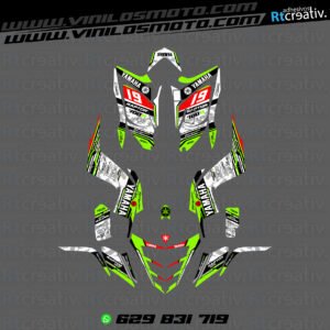 ADHESIVOS Y PEGATINAS DE VINILO PARA YAMAHA RAPTOR 700 Rt007-11