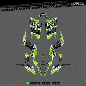 ADHESIVOS Y PEGATINAS DE VINILO PARA YAMAHA RAPTOR 700 Rt007-20