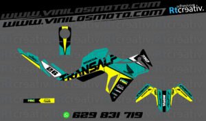 175€ - Honda Transalp | Diseño Rt001 28 ADHESIVOS Y PEGATINAS DE VINILO HONDA TRANSALP 750 Rt001-14