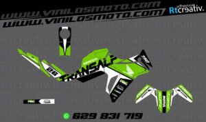175€ - Honda Transalp | Diseño Rt001 40 ADHESIVOS Y PEGATINAS DE VINILO HONDA TRANSALP 750 Rt001-20