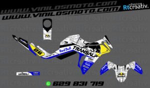 ADHESIVOS Y PEGATINAS DE VINILO HONDA TRANSALP 750 Rt002-05
