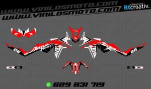 ADHESIVOS Y PEGATINAS DE VINILO HONDA ÁFRICA TWIN Rt004-07
