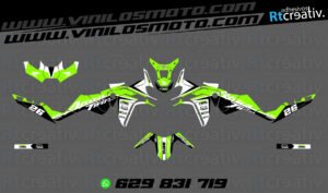 ADHESIVOS Y PEGATINAS DE VINILO HONDA ÁFRICA TWIN Rt004-10