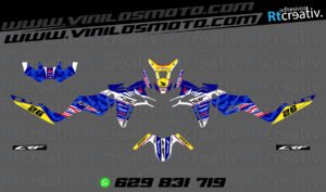 ADHESIVOS Y PEGATINAS DE VINILO HONDA ÁFRICA TWIN Rt006-01