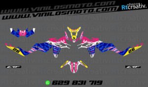 ADHESIVOS Y PEGATINAS DE VINILO HONDA ÁFRICA TWIN Rt006-04