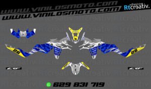 ADHESIVOS Y PEGATINAS DE VINILO HONDA ÁFRICA TWIN Rt006-05
