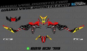 ADHESIVOS Y PEGATINAS DE VINILO HONDA ÁFRICA TWIN Rt006-07