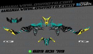 ADHESIVOS Y PEGATINAS DE VINILO HONDA ÁFRICA TWIN Rt006-08
