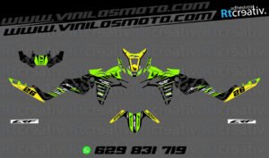 ADHESIVOS Y PEGATINAS DE VINILO HONDA ÁFRICA TWIN Rt006-10