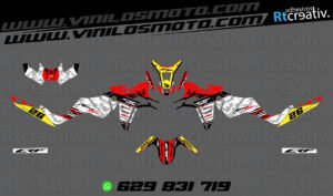 ADHESIVOS Y PEGATINAS DE VINILO HONDA ÁFRICA TWIN Rt006-13