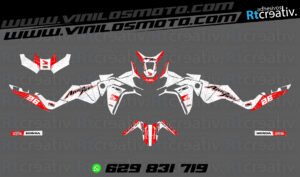 ADHESIVOS Y PEGATINAS DE VINILO HONDA ÁFRICA TWIN Rt007-07