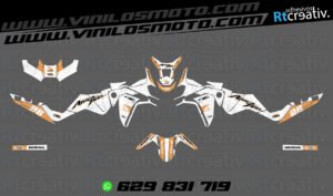 ADHESIVOS Y PEGATINAS DE VINILO HONDA ÁFRICA TWIN Rt007-10