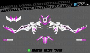 ADHESIVOS Y PEGATINAS DE VINILO HONDA ÁFRICA TWIN Rt007-12