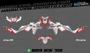 ADHESIVOS Y PEGATINAS DE VINILO HONDA ÁFRICA TWIN Rt008-08