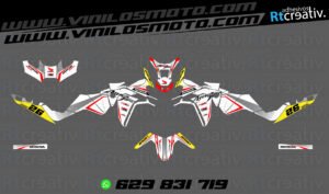 ADHESIVOS Y PEGATINAS DE VINILO HONDA ÁFRICA TWIN Rt008-09