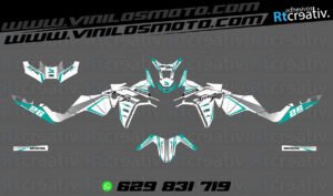 ADHESIVOS Y PEGATINAS DE VINILO HONDA ÁFRICA TWIN Rt008-12